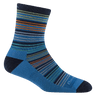 Darn Tough Kids Zebra Canyon Micro Crew Lightweight Hiking Socks