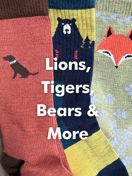 Lions, Tiger, Bears, and More