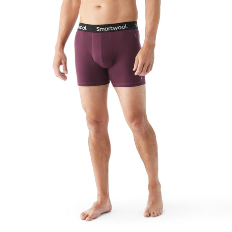 Smartwool Mens Everyday Merino Boxer Brief  - 