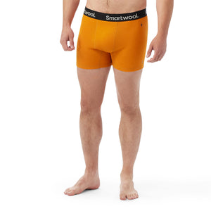 Smartwool Mens Boxer Brief  - 