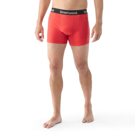 Smartwool Mens Boxer Brief  - 