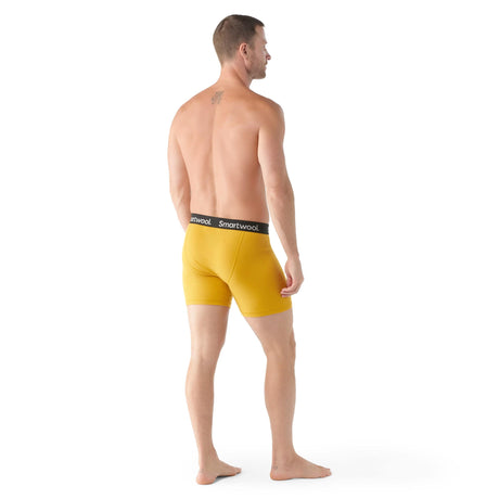 Smartwool Mens Merino Boxer Brief  - 