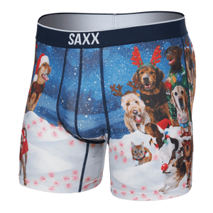 SAXX Mens Volt Breathable Mesh Boxer Brief  -  Small / Dogs of SAXXmas - Blue