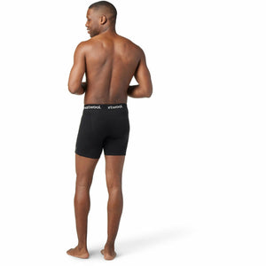 Smartwool Mens Merino Sport Wind Boxer Brief  - 